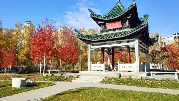后稷园7