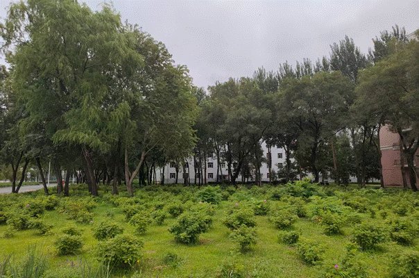 西环路2