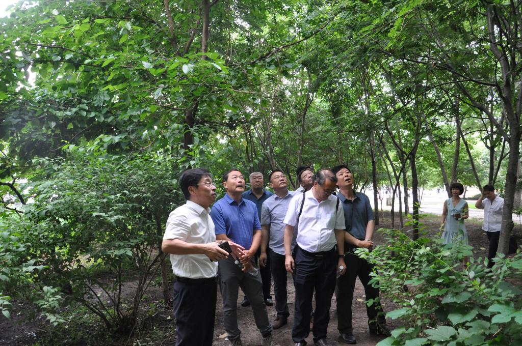 参观现场